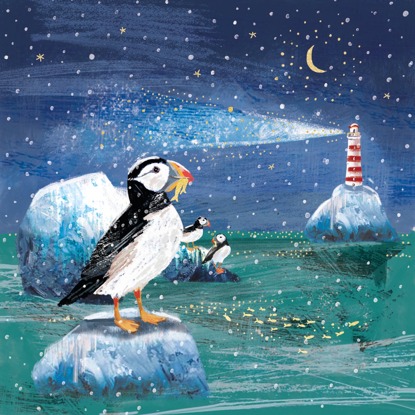 New 'Frosty Coast' Charity Christmas Cards (Pack of 10) Welsh and English Message Inside
