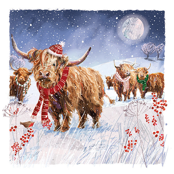 NEW 'Fancy Scarves' Charity Christmas Cards 2025 (Pack of 10) Welsh and English Message Inside