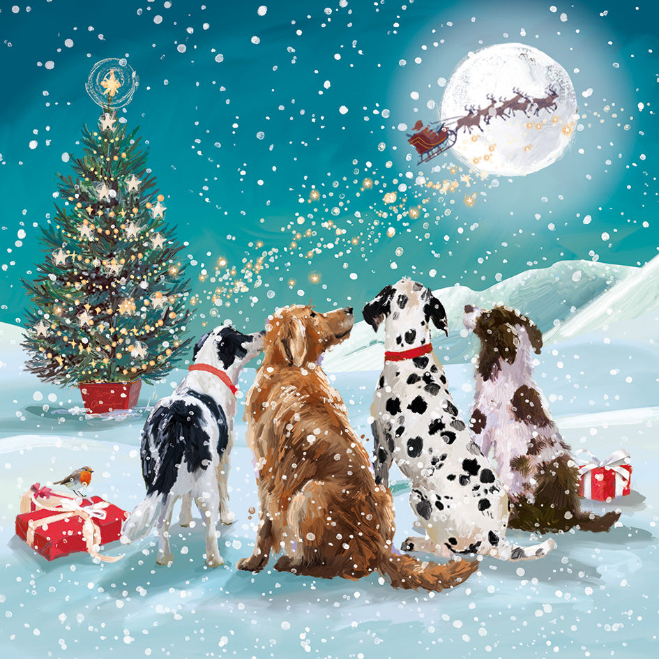 New 'Watching Santa' Charity Christmas Cards (Pack of 10) Welsh and English Message Inside