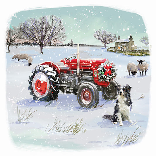 My New Toy' Charity Christmas Cards (Pack of 10) Welsh and English Message Inside