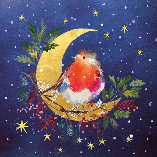 NEW 'Robin in the Crescent Moon' Charity Christmas Cards 2025 (Pack of 10)