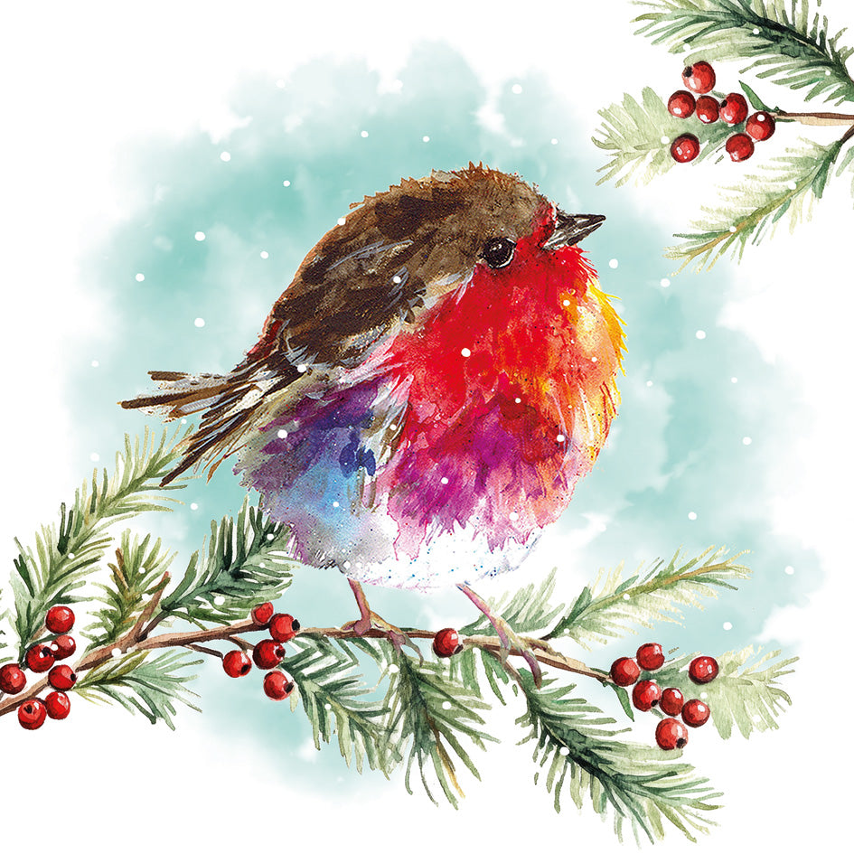 New 'Perching Fluffy' Charity Christmas Cards (Pack of 10)