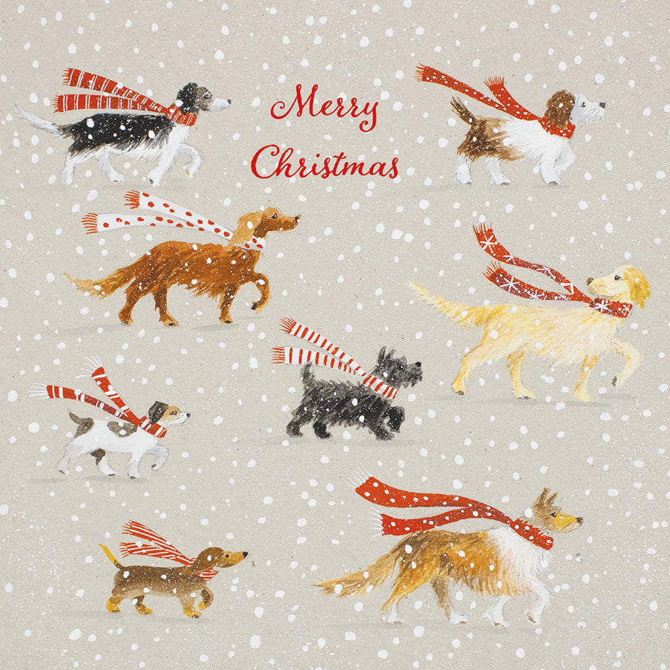 'Nice Scarves' Charity Christmas Card (Pack of 10)