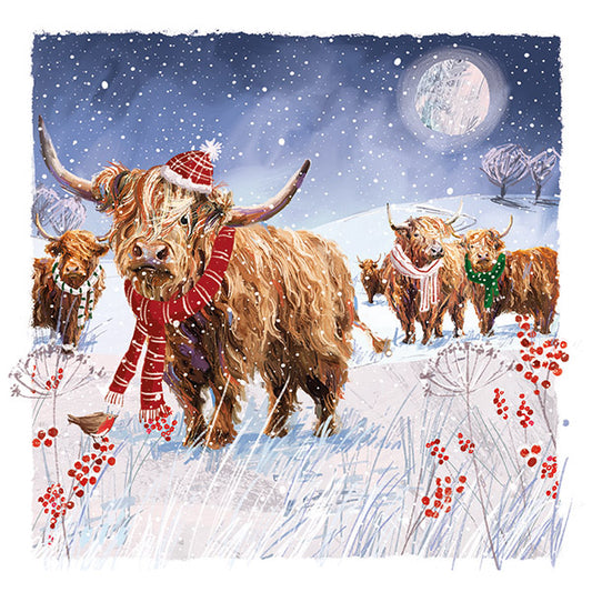 NEW 'Fancy Scarves' Charity Christmas Cards 2025 (Pack of 10) Welsh and English Message Inside