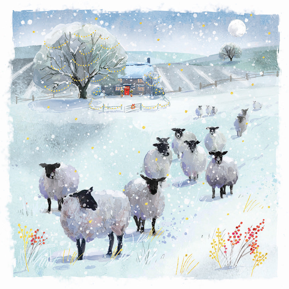 'Flock in the Field' Foil Charity Christmas Cards (Pack of 10) Welsh and English Message Inside