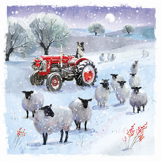 NEW 'On the Farm' Charity Christmas Cards 2025 (Pack of 10) Welsh and English Message Inside