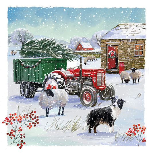 New 'Snow on the Farm' Charity Christmas Cards (Pack of 10) Welsh and English Message Inside